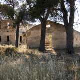 Riprendiamo la provinciale e dopo cinquecento metri usciamo a Parco Adria, per poi imboccare la piccola �strada detta delle Monache�, che ci porta praticamente in campagna. Ci facciamo largo tra la vegetazione fino a incontrare due costruzioni �fantasma� senza tetto, porte e finestre, circondate da alti alberi di pino